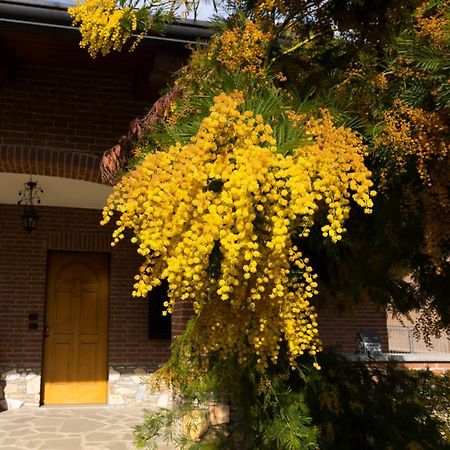 Villa Anna Moncalieri Kültér fotó