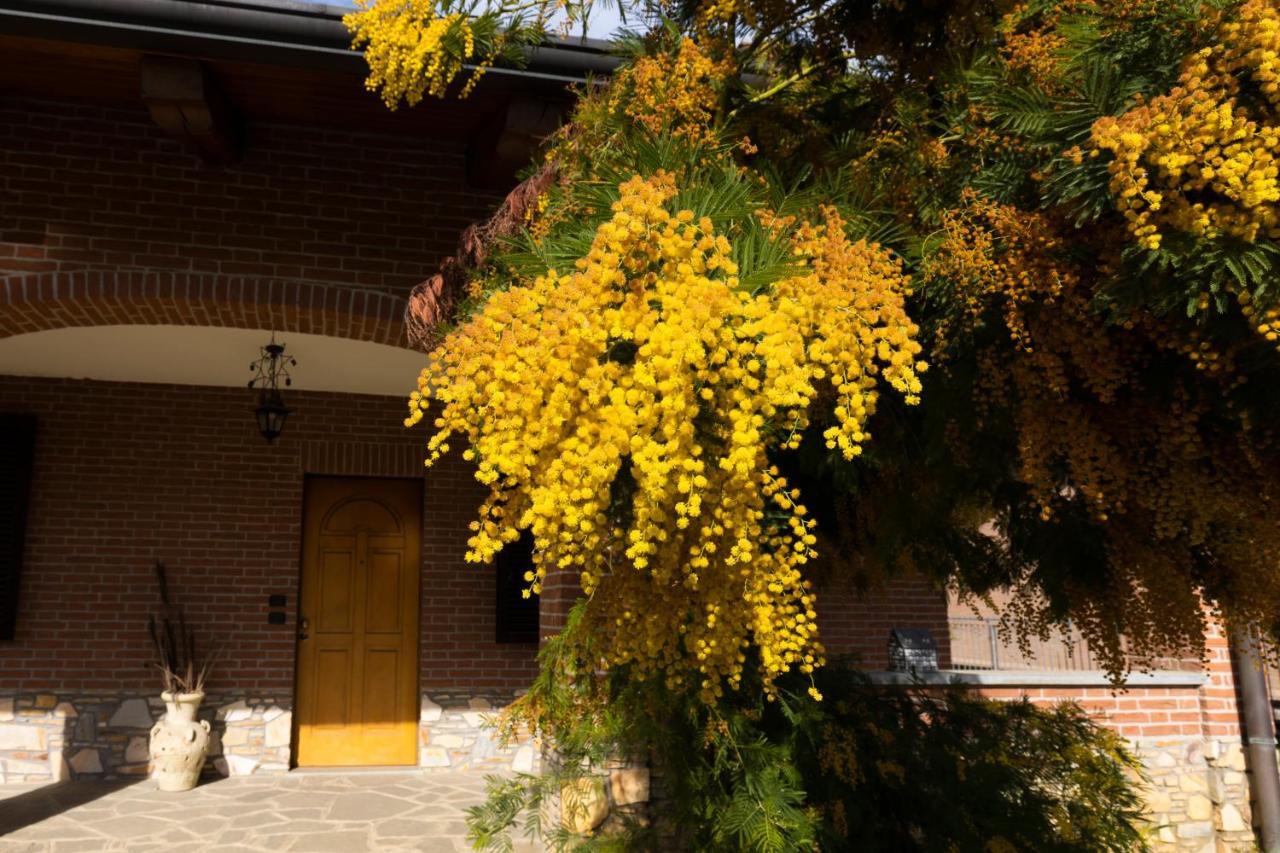 Villa Anna Moncalieri Kültér fotó